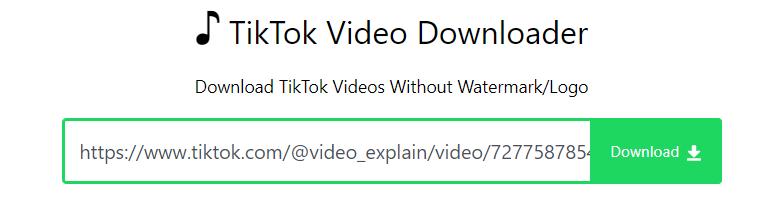 online TikTok video downloader - TikDL