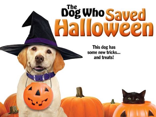 the dog who save halloween