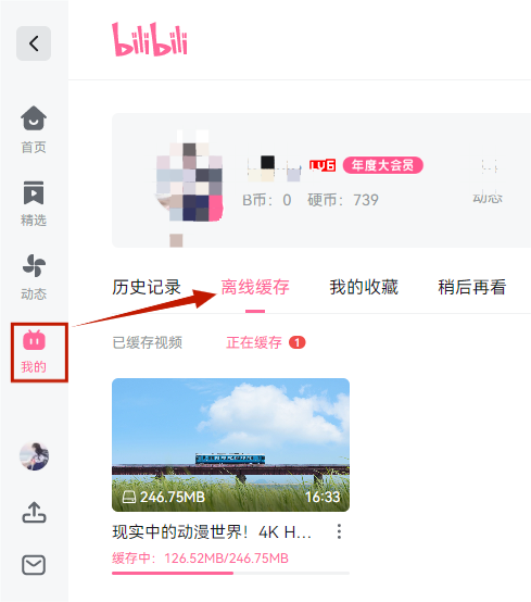 view the downloaded videos in Bilibili app