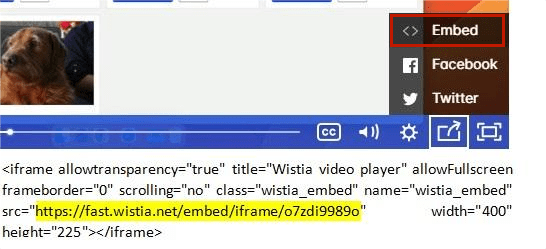 tip to get wistia video id