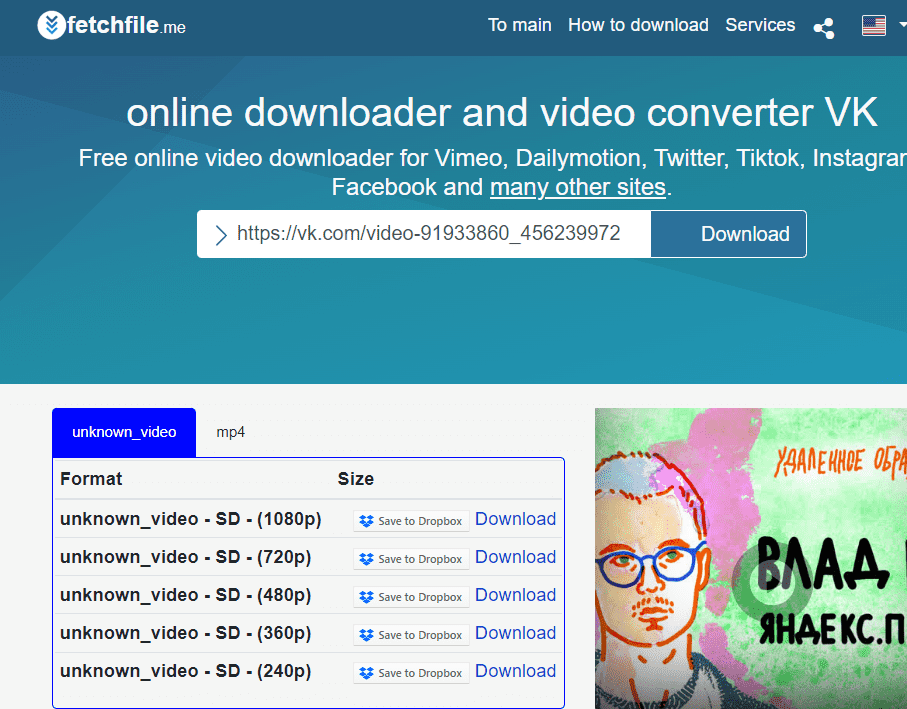 online vk video downloader-1