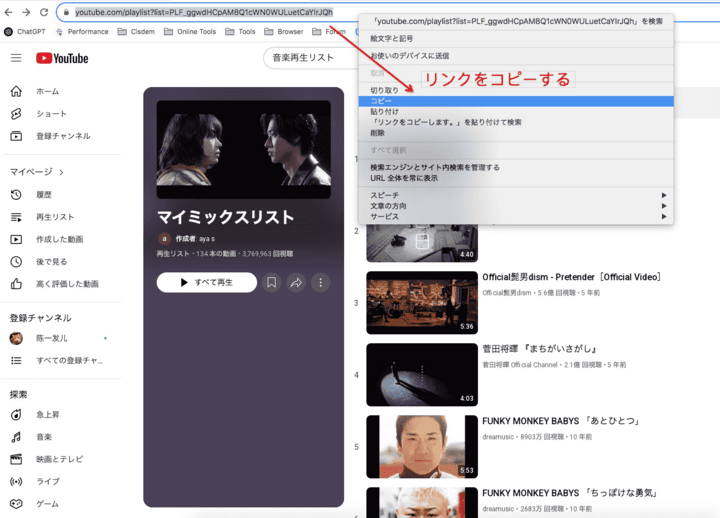 download full playlist from youtube in pc ifunia