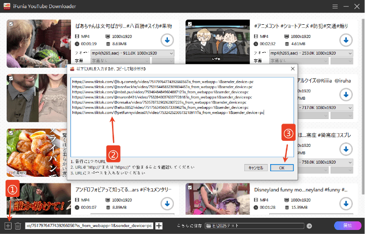 Paste TikTok video links in bulk
